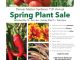 Denver CO Master Gardeners Plant Sale is May 14-15, 2016. Source: CSU Denver Extension - Horticulture Program, Denver CO.