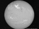 A view of the Sun on May 23, 1967, in a narrow visible wavelength of light called Hydrogen-alpha. The bright region in the top center region of brightness shows the area where the large flare occurred. Credit: National Solar Observatory historical archive.