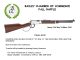 Bailey NC Chamber of Commerce Raffle will support the town parade later this year. First prize is a Henry “Evil Roy” Edition 22LR.