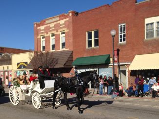 Scene from a Zebulon NC parade, December 2013. Photo: Frank Whatley
