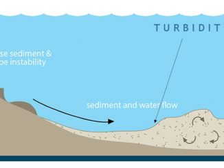 Schematic diagram illustrating a slope failure on a continental margin caused by either a local or distant earthquake, similar to a terrestrial landslide. On the upper part of the continental margin near the shallow continental shelf, shaking from the earthquake dislodges loose sediment, which flows downhill and entrains sea water, becoming more fluid and more turbulent. This chaotic motion of fluid within the sediment flow sustains the turbidity current, which can flow for hundreds of kilometers once it reaches the deep abyssal plain. Credit: NOAA