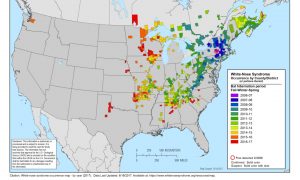 White Nose Syndrome Map June 2017. Source: www.whitenosesyndrome.org