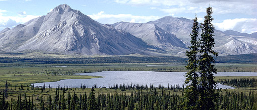 Arctic National Wildlife Refuge. Source: US Fish and Wildlife Service