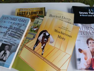 Local author books on display at the Zebulon Farm Fresh Market. Source: Cindy Brookshire