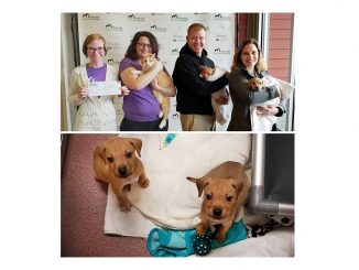 Four Seasons Plumbing presenting their donation to the Asheville Humane Society. Source: Brianna Langley, Orange Orchard PR