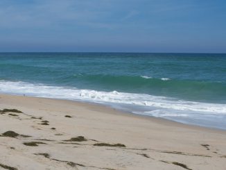 Cape Hatteras National Seashore, Ocean and Beach. Source: National Park Service